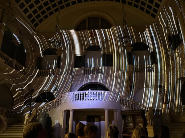 Immersed in Starlight